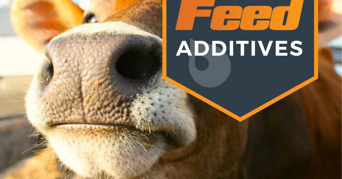 feed-additives-bhl-feeds